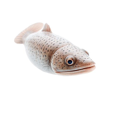 Eel