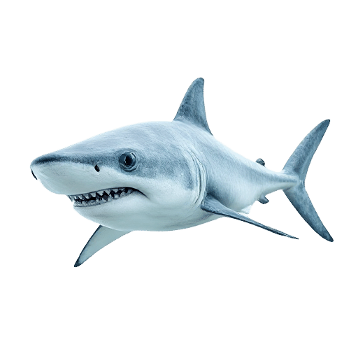 Ghost Shark