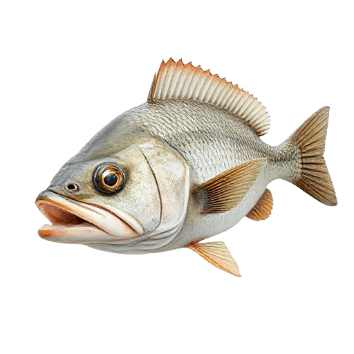 Hardheads