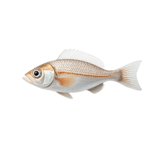 Icefish