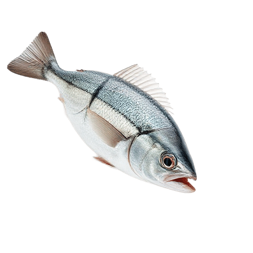 Mackerel