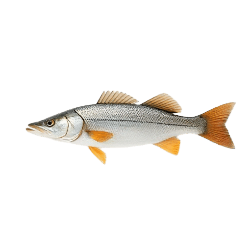 Pike