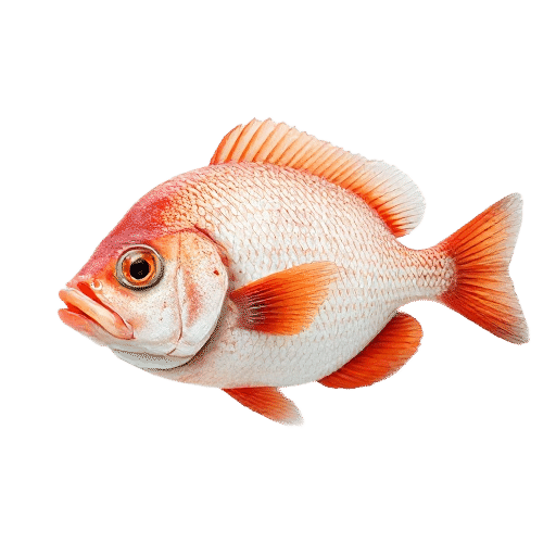 Pomfret