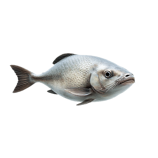 Seal
