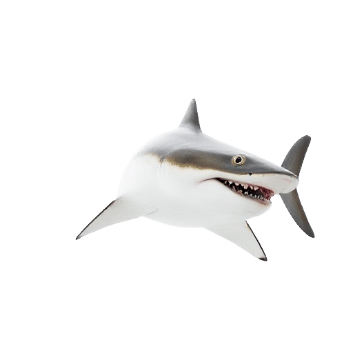 Sharkray