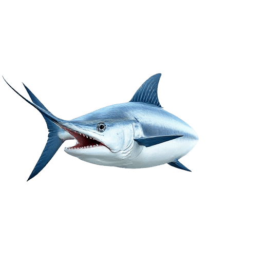 Swordfish