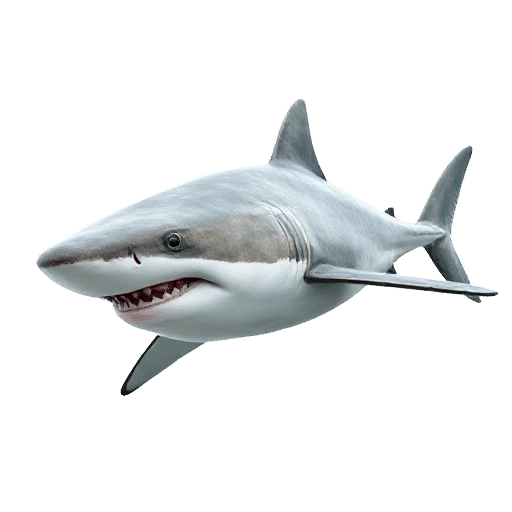 Telescope Shark