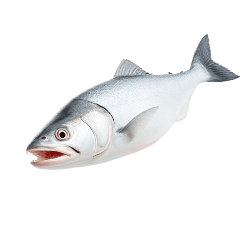 White Salmon