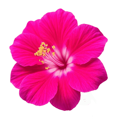 Azalea