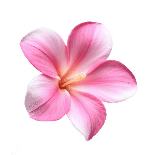 Gardenia