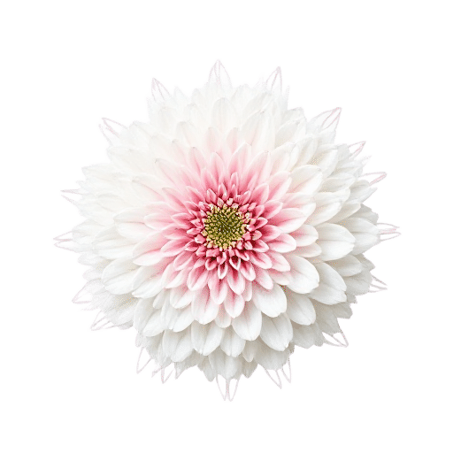 Globe Flower