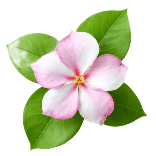 Mandevilla