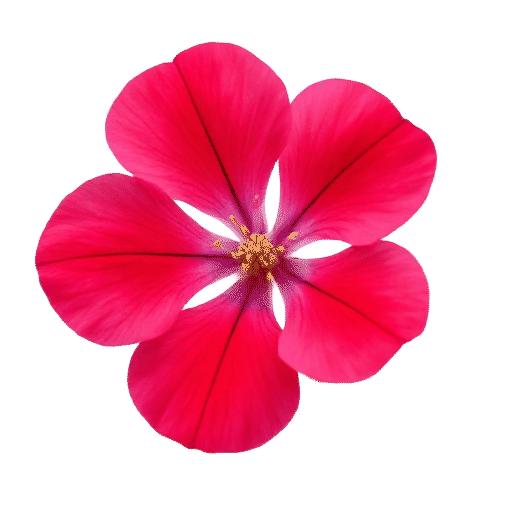 Nasturtium