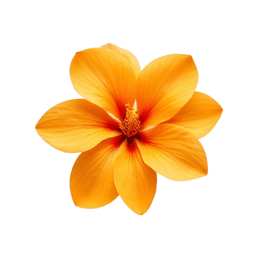 Orange Blossom