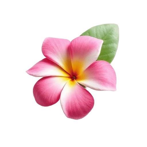 Plumeria