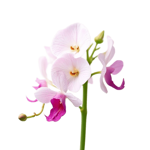 Snapdragons