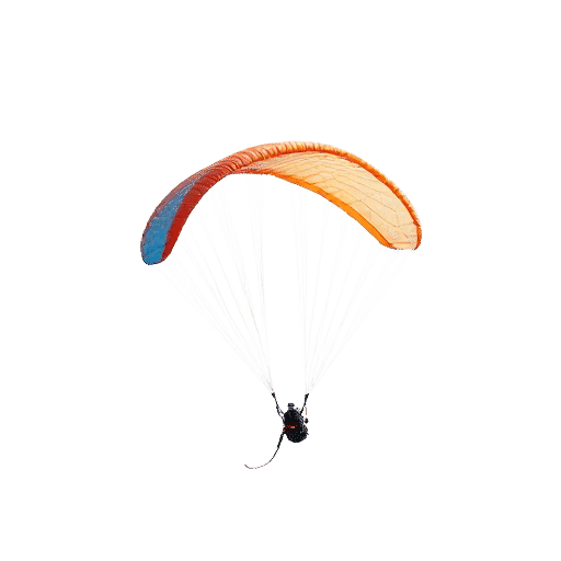 Paraglider