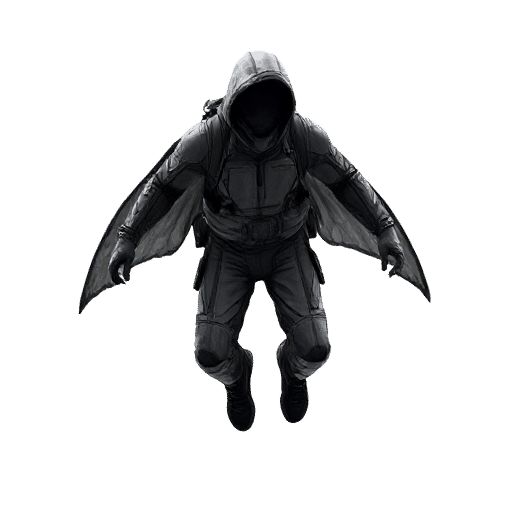 Wingsuit