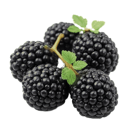 Blackberries