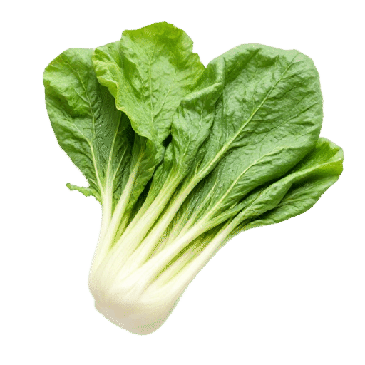 Bok choy