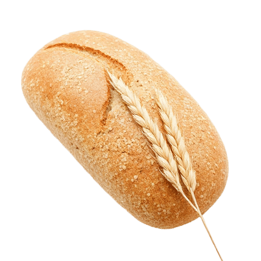 Bread wheat