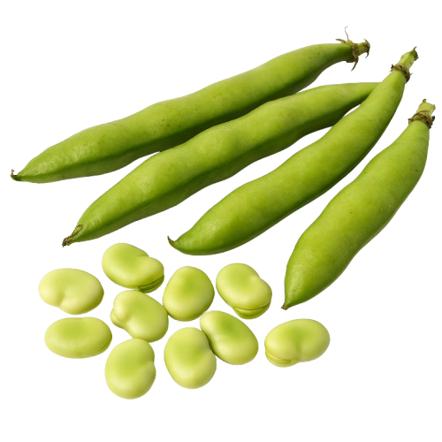 Broad beans