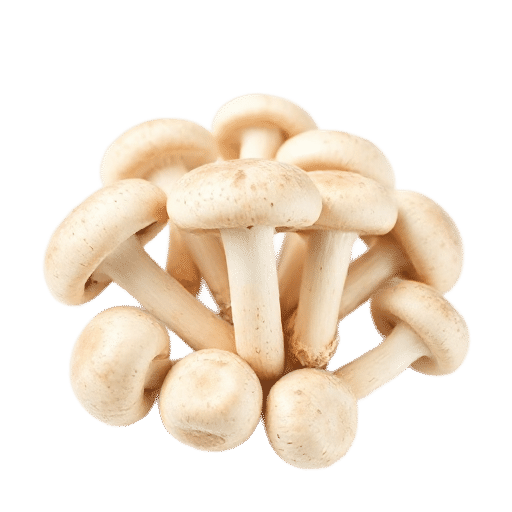 Button mushrooms
