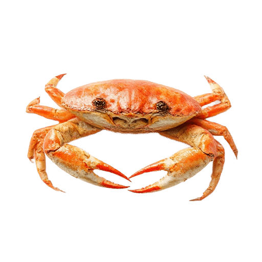 Crab