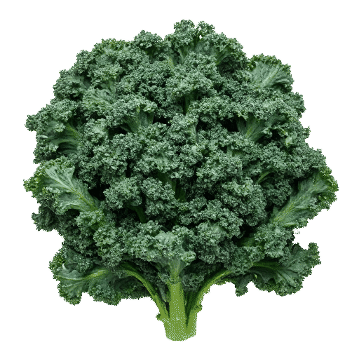 Curly kale