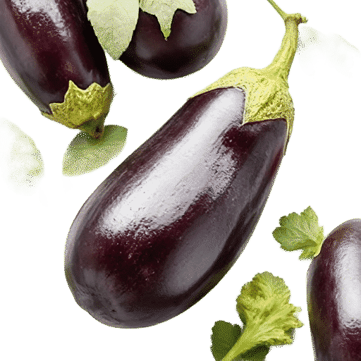 Egyptian eggplant