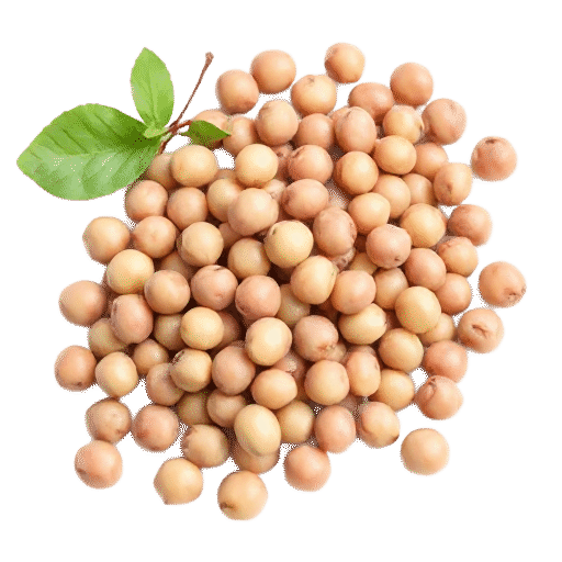Fava beans