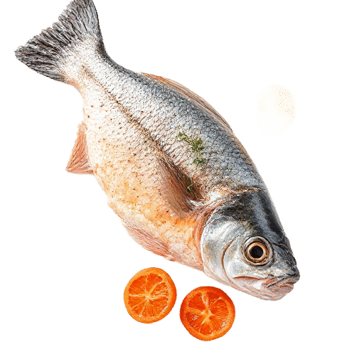 Fish