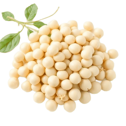 Fresh fava beans
