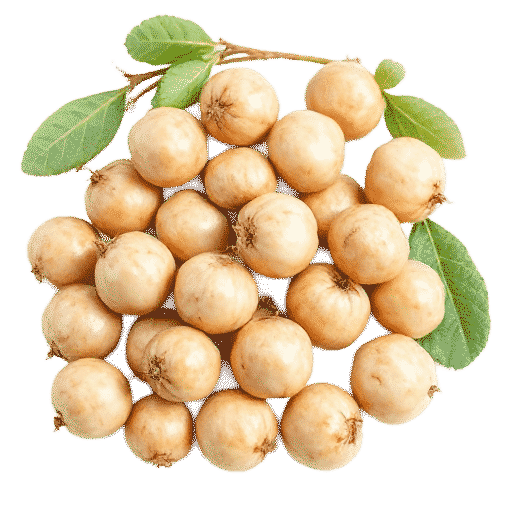 Fresh water chestnuts