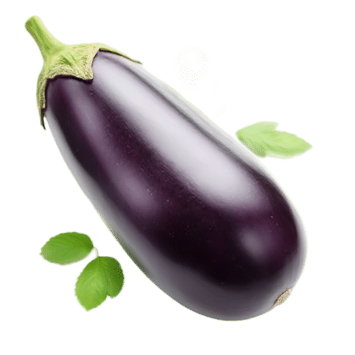 Japanese eggplant
