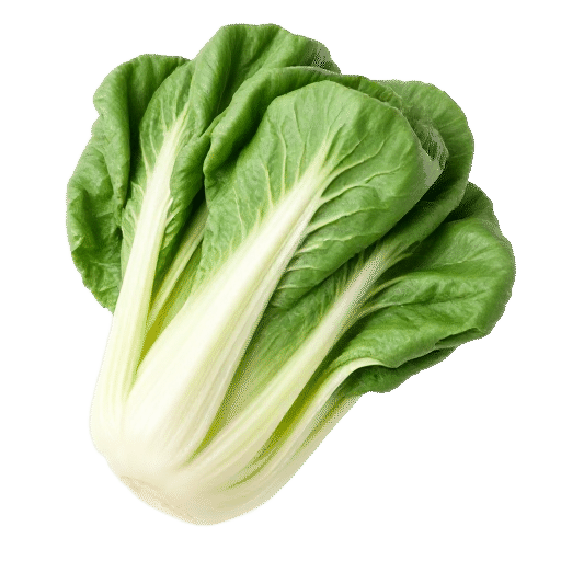 Large bok choy