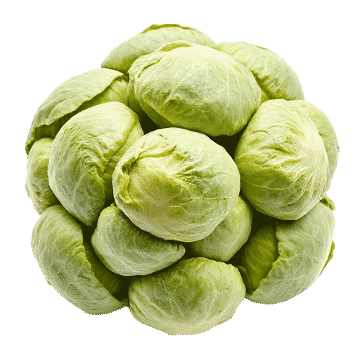 Large Brussels sprouts