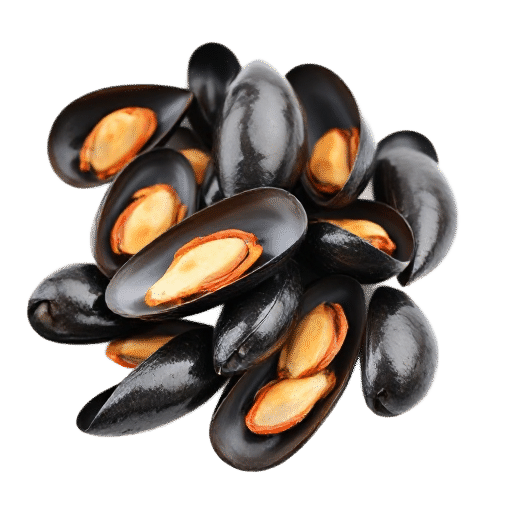 Mussels