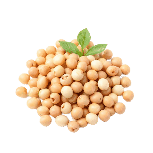 Pinto beans