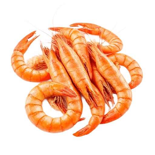 Prawns