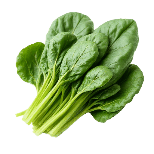 Savoy spinach