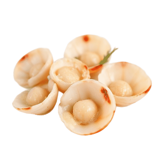 Scallops