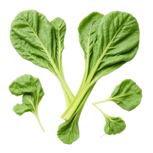 Spinach