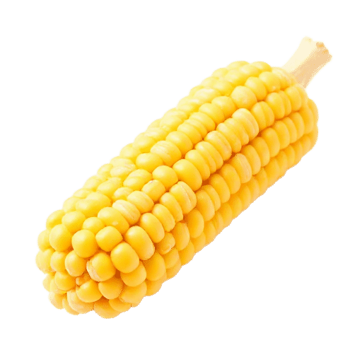 Sweet corn