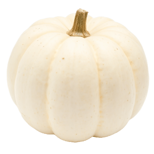 White acorn squash