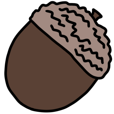 acorn