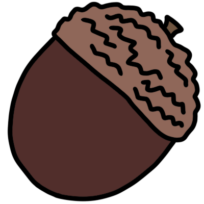 acorn
