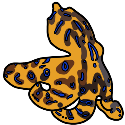 blue-ringed octopus