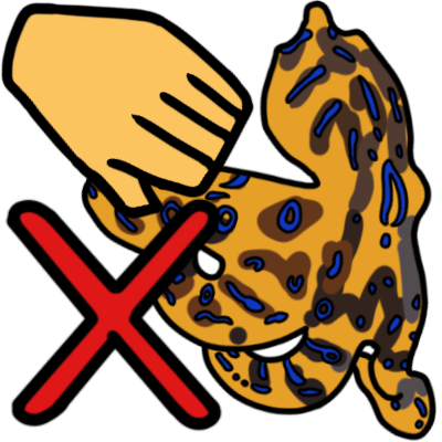 don't touch blue-ringed octopi
