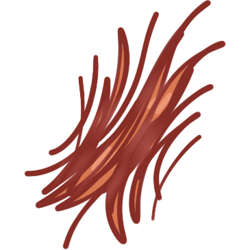 hair